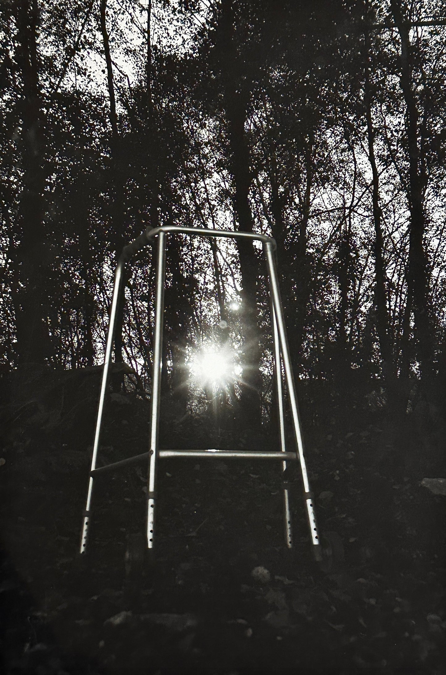 Found Objects: Walking Aid Photo Print