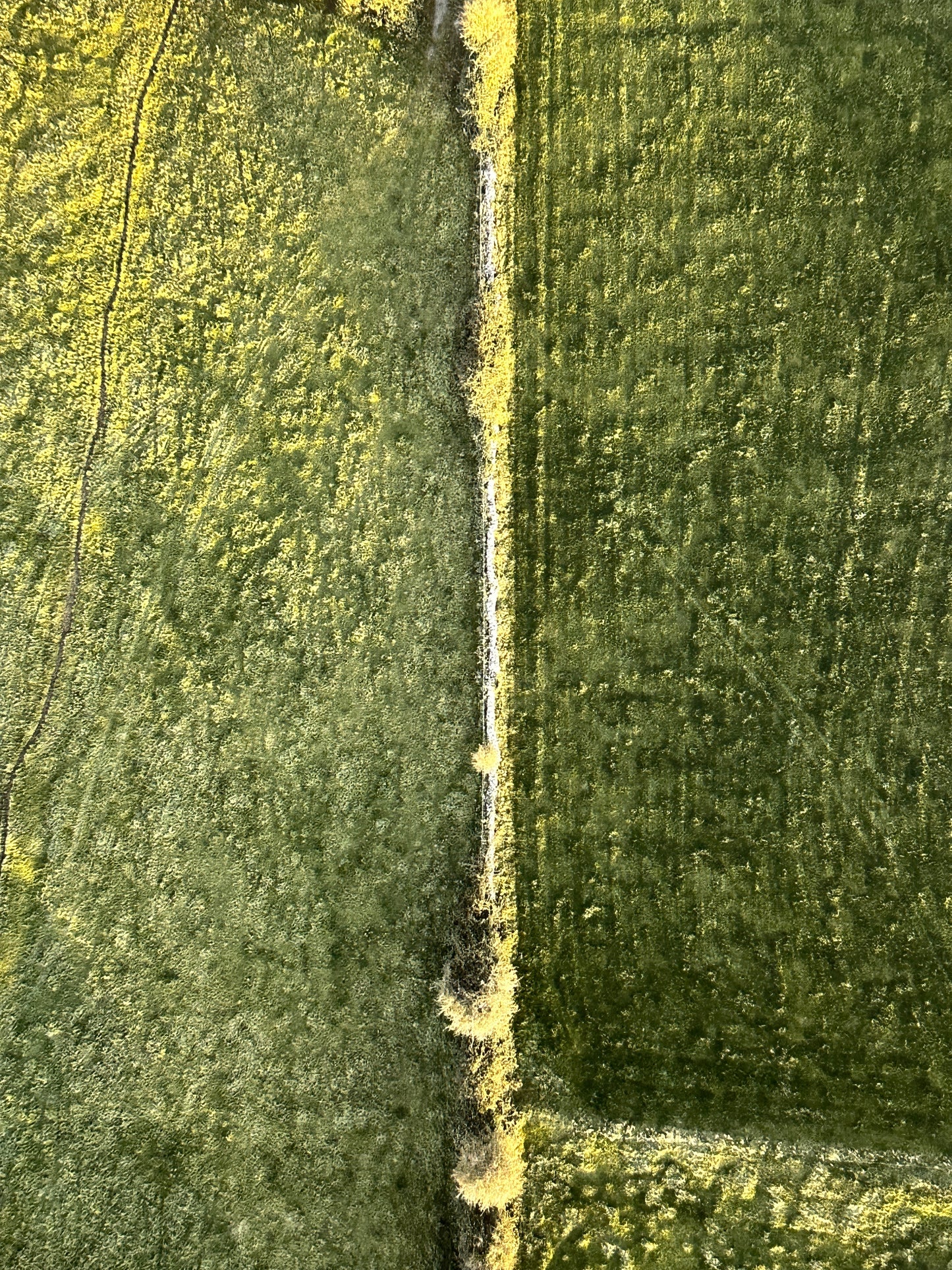 Ariel Field Photo Print