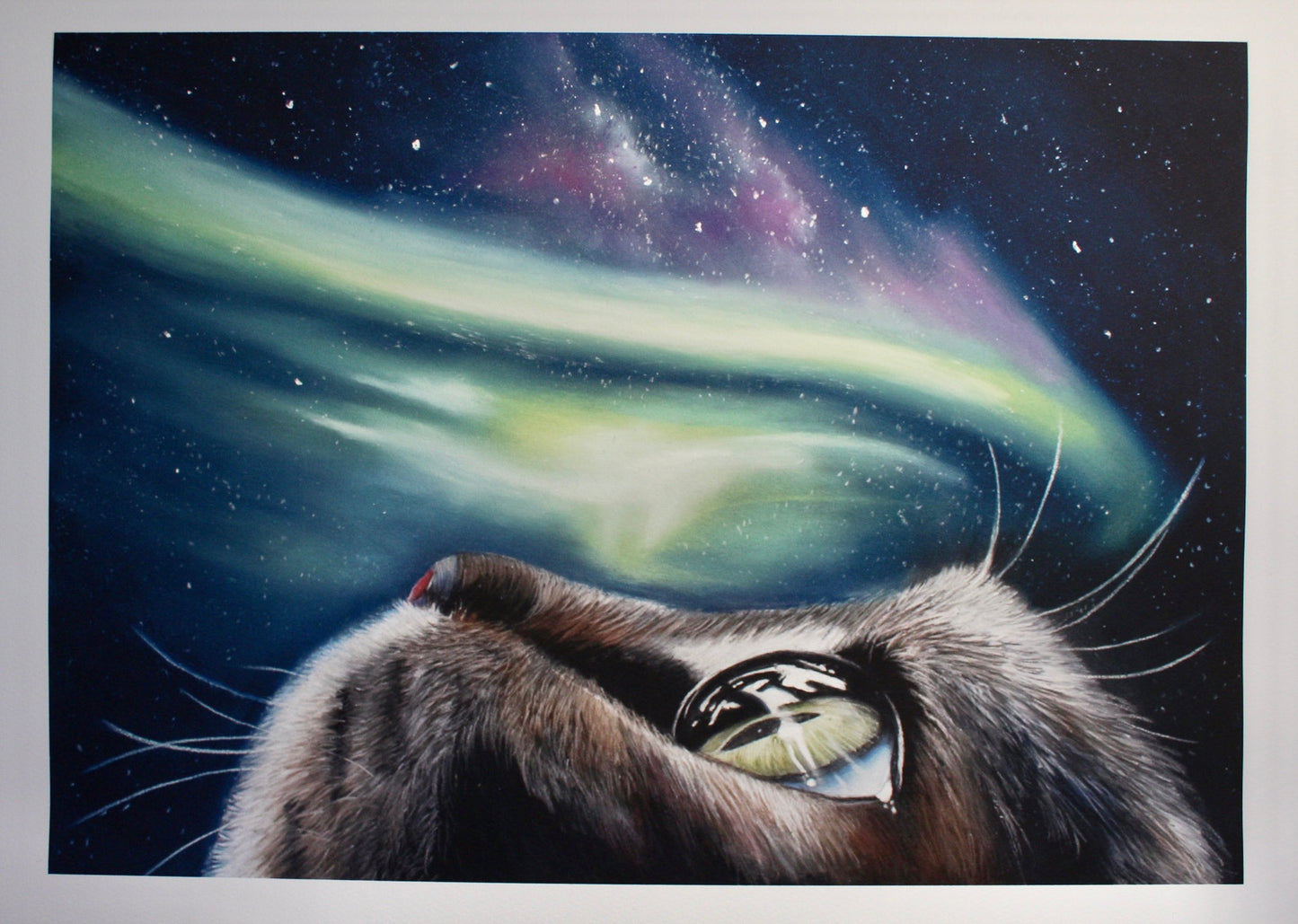 "Catnip Trip" Limited Edition Gicleé Print