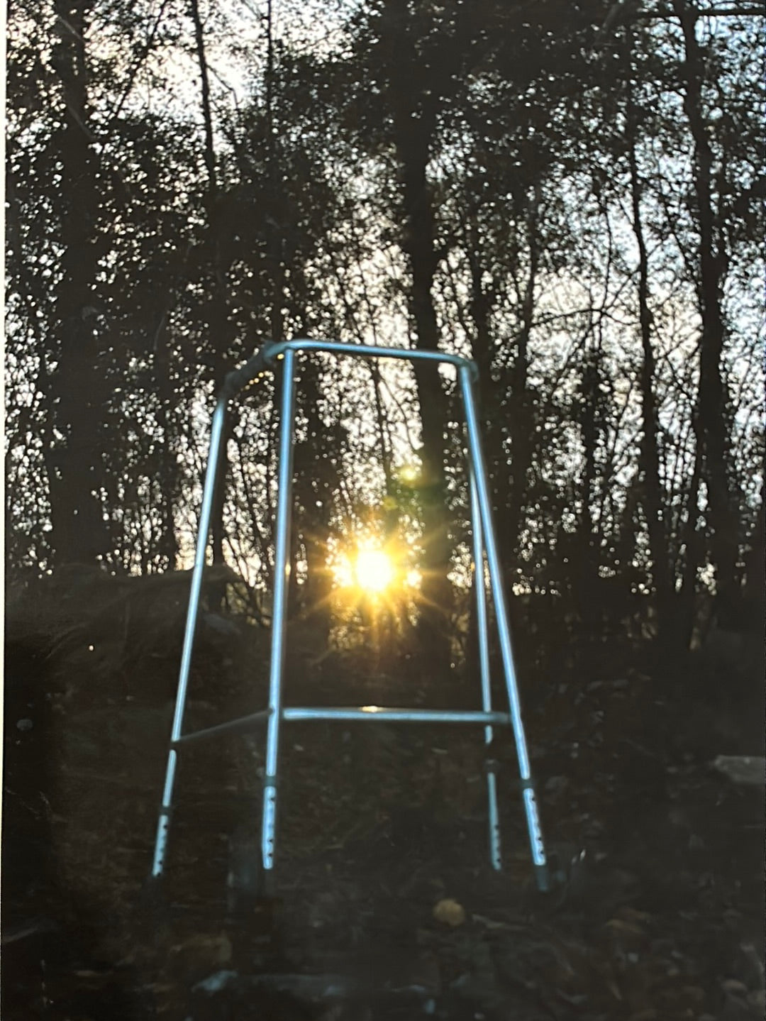 Colour Found Objects: Walking Aid Photo Print