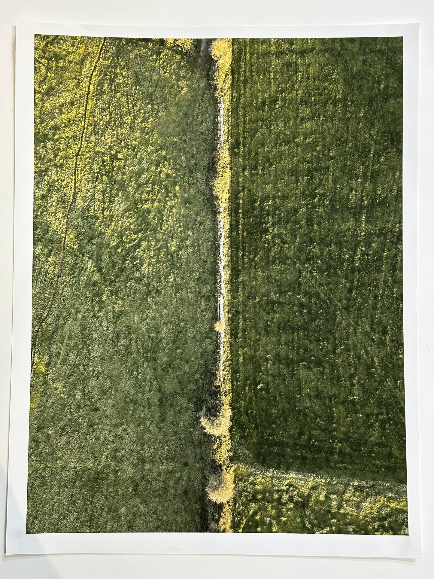 Ariel Field Photo Print