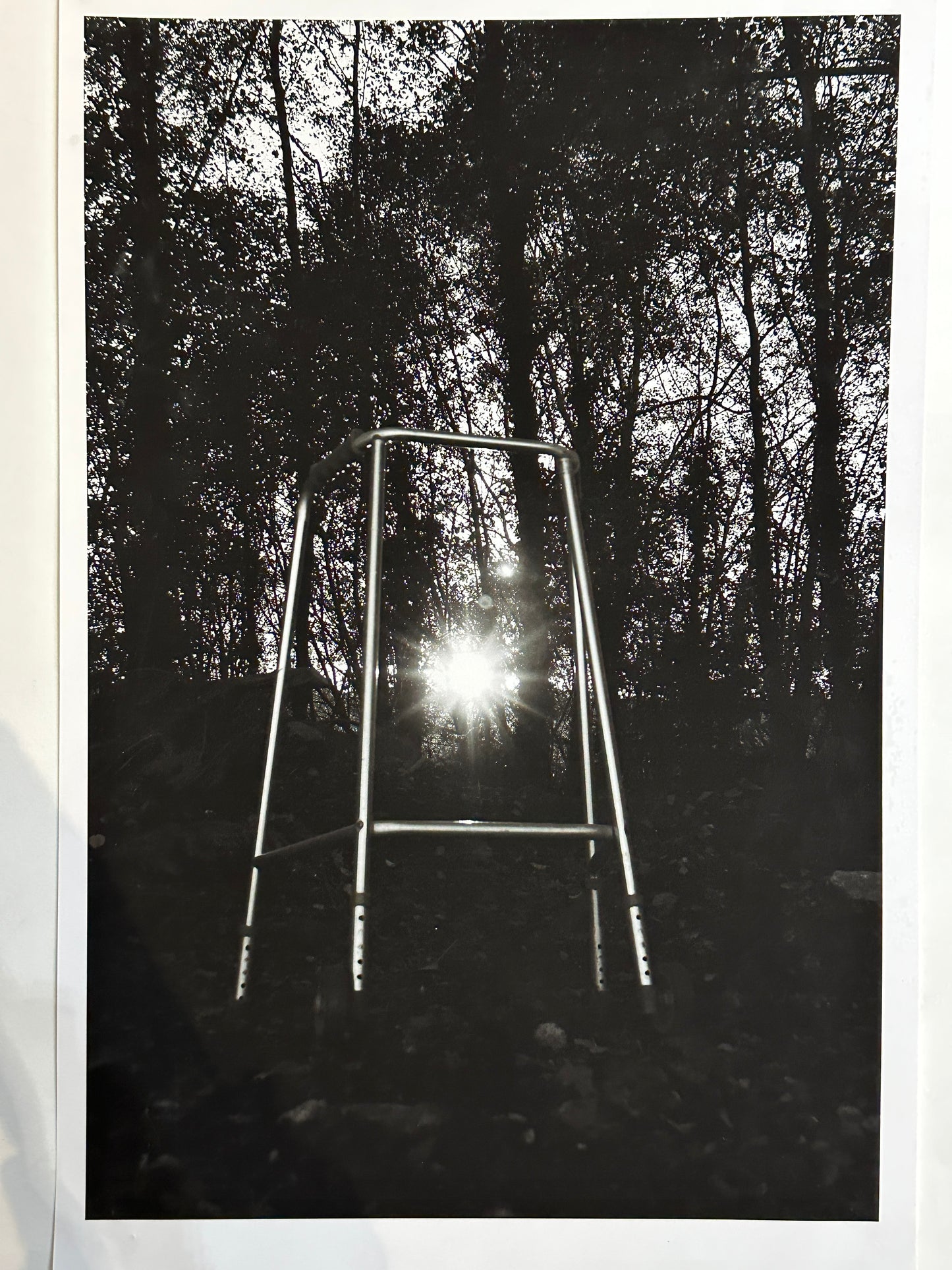 Found Objects: Walking Aid Photo Print