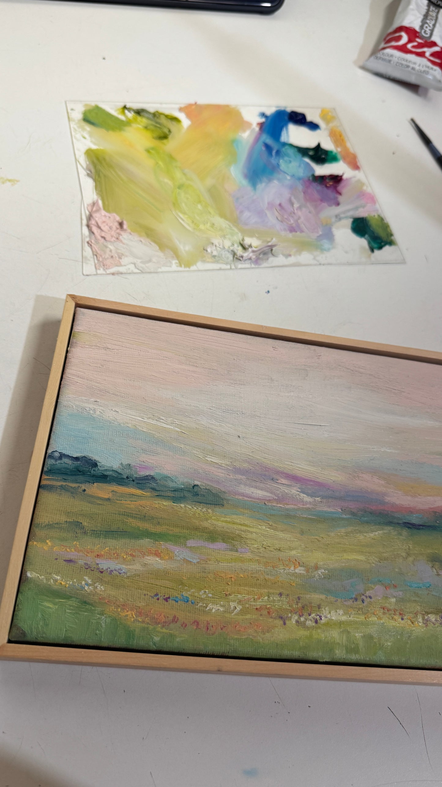 Meadows Manifest - Original Framed Oil Painting