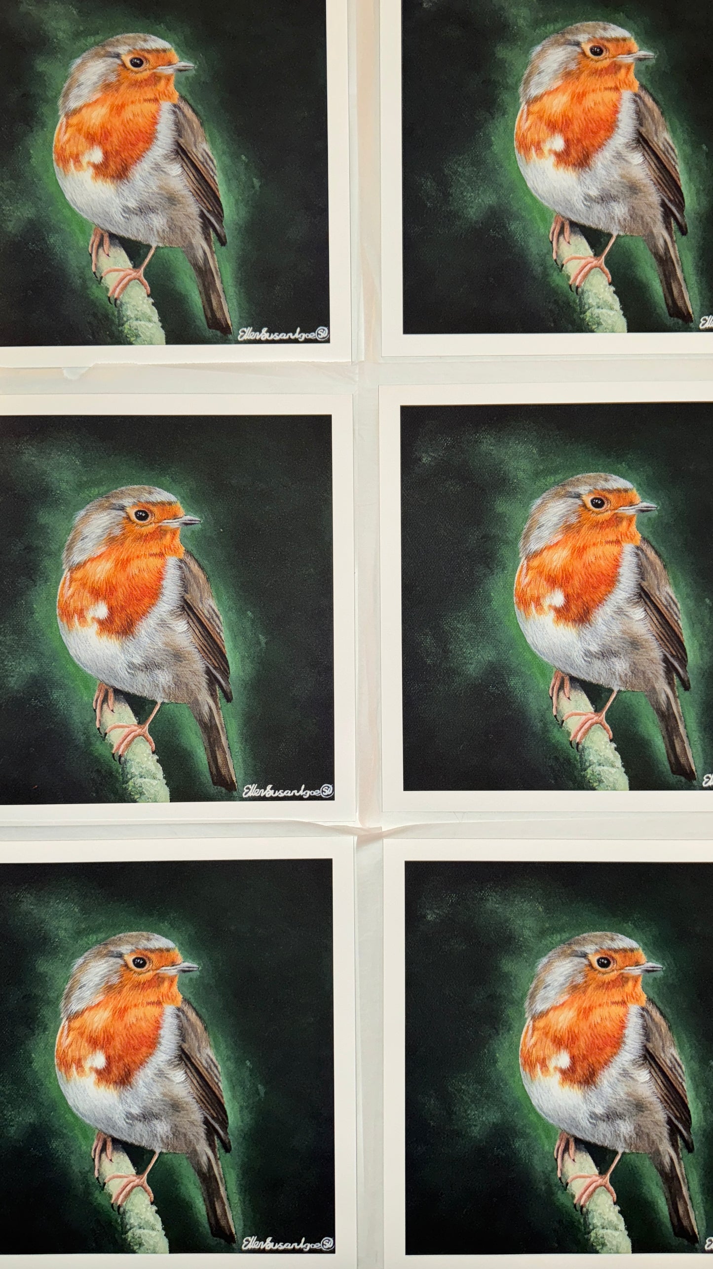 “A Familiar Presence” Robin Limited Edition Giclee Print