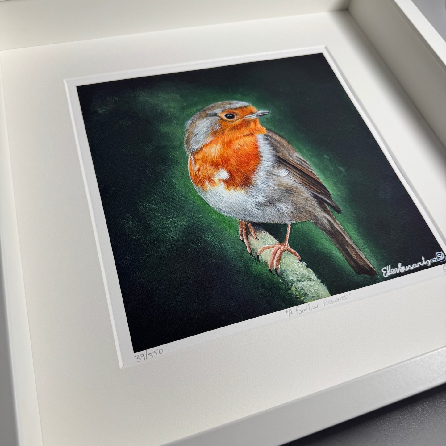 FRAMED “A Familiar Presence” Robin Limited Edition Giclee Print