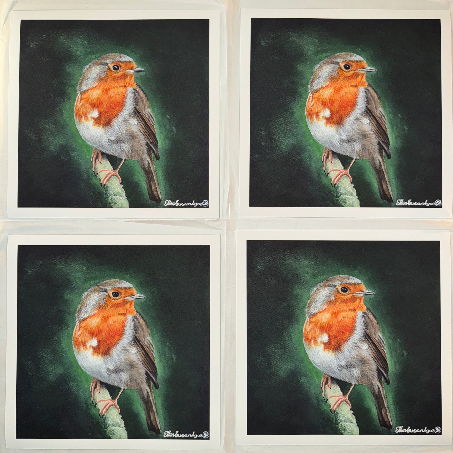 “A Familiar Presence” Robin Limited Edition Giclee Print