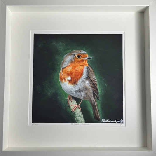 FRAMED “A Familiar Presence” Robin Limited Edition Giclee Print