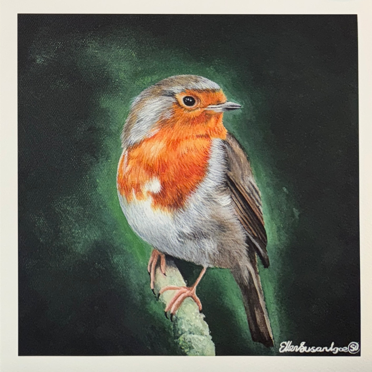 FRAMED “A Familiar Presence” Robin Limited Edition Giclee Print