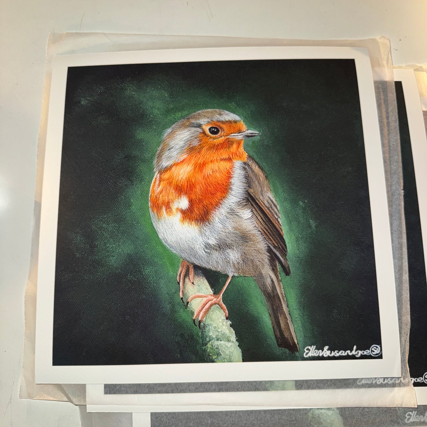 “A Familiar Presence” Robin Limited Edition Giclee Print