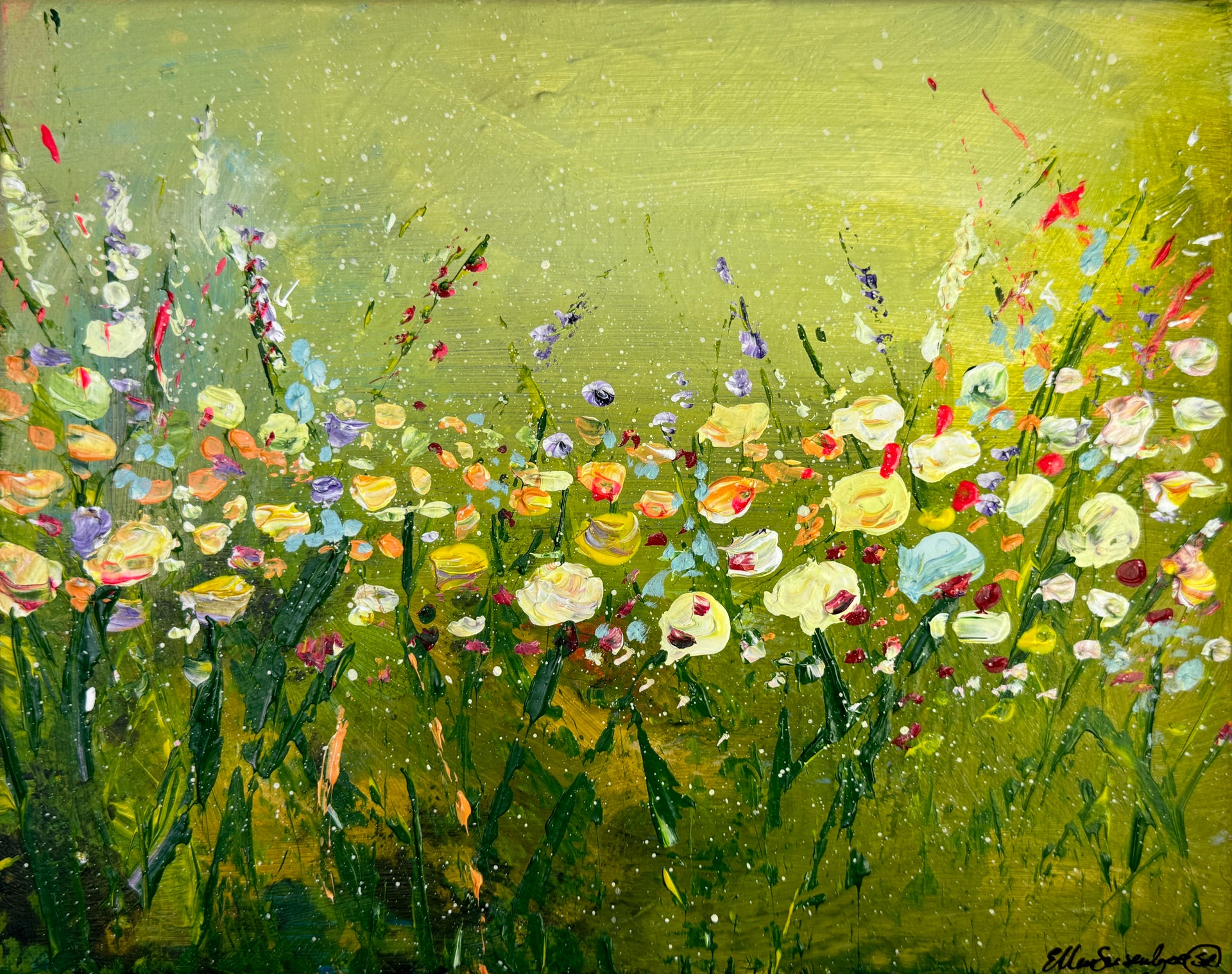 Buttercups 1