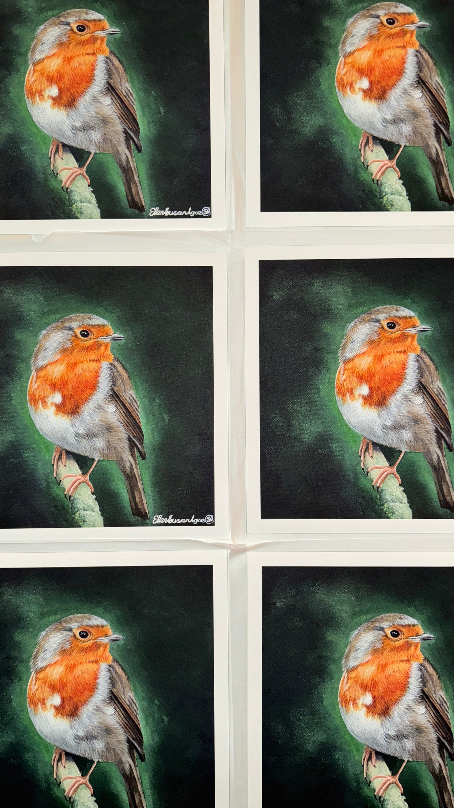 “A Familiar Presence” Robin Limited Edition Giclee Print