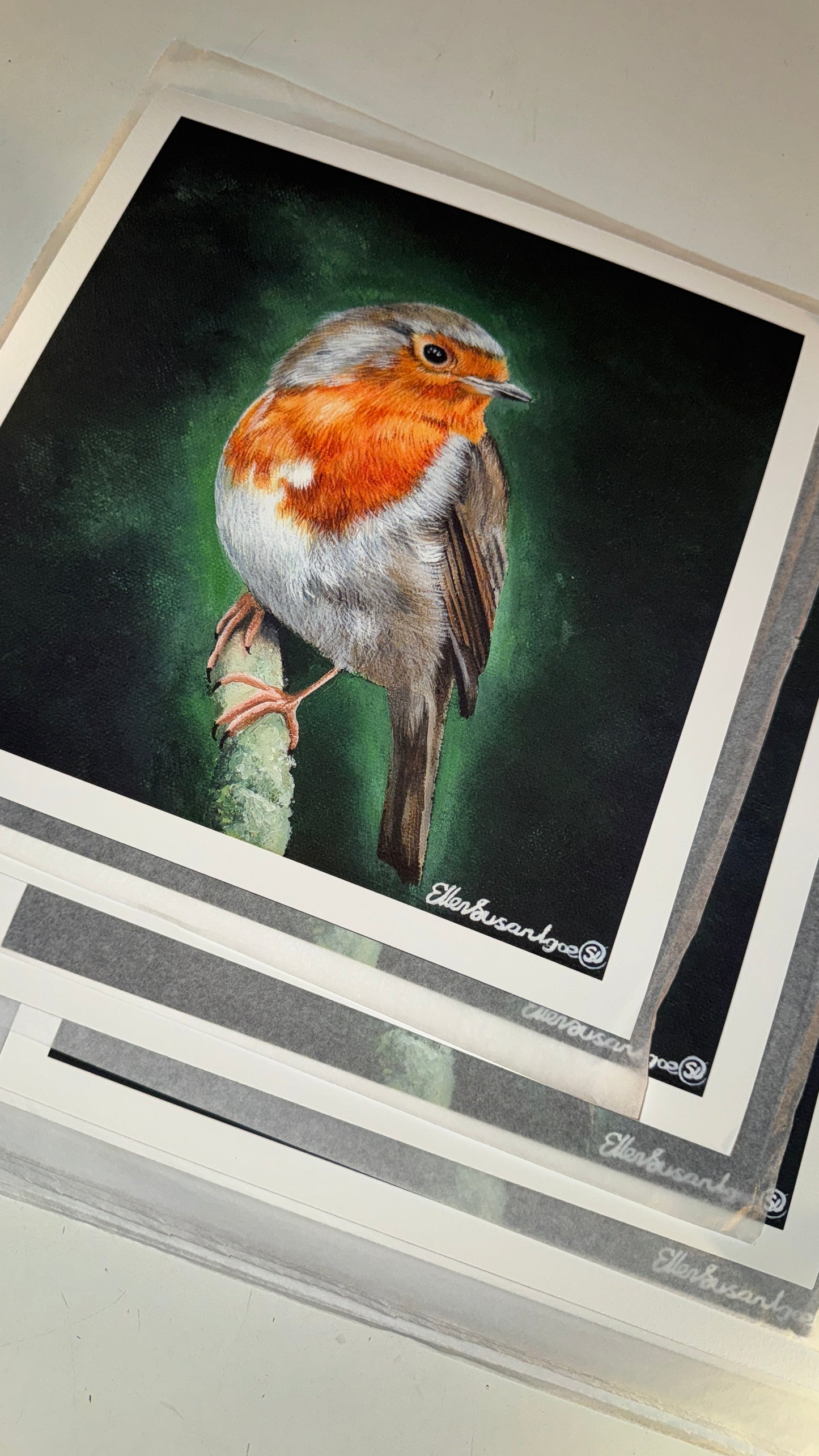 “A Familiar Presence” Robin Limited Edition Giclee Print